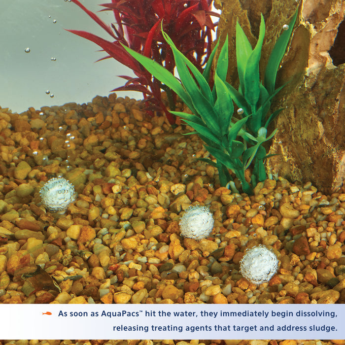 Aqueon AquaPacs™ Sludge Remover
