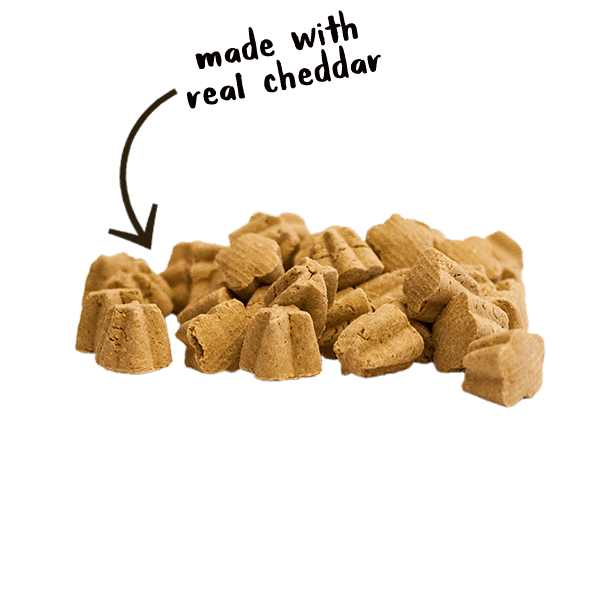 Cloud Star TRICKY TRAINERS CRUNCHY TREATS: CHEDDAR
