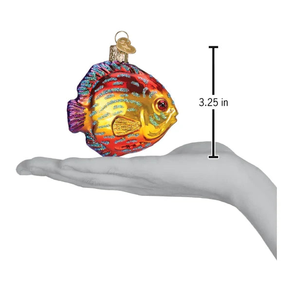 3.25 inch Colorful Discus Fish Ornament