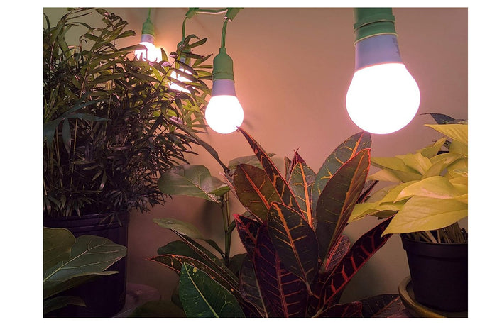 Miracle LED Greenhouse In a Box - Ultra Grow 4-Socket LED Grow Light Kit