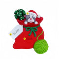 Christmas ornament with a cat in a red sack, greenery, and a tag on a white background