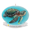 Personalized Sea Turtle Ornament