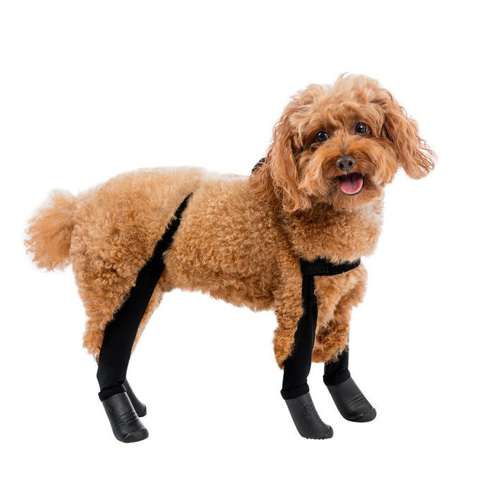 Walkee Paws Deluxe Dog Boot Leggings